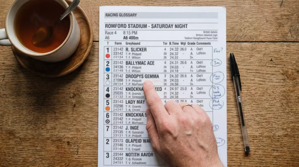 Greyhound racing glossary terms on a printed race card