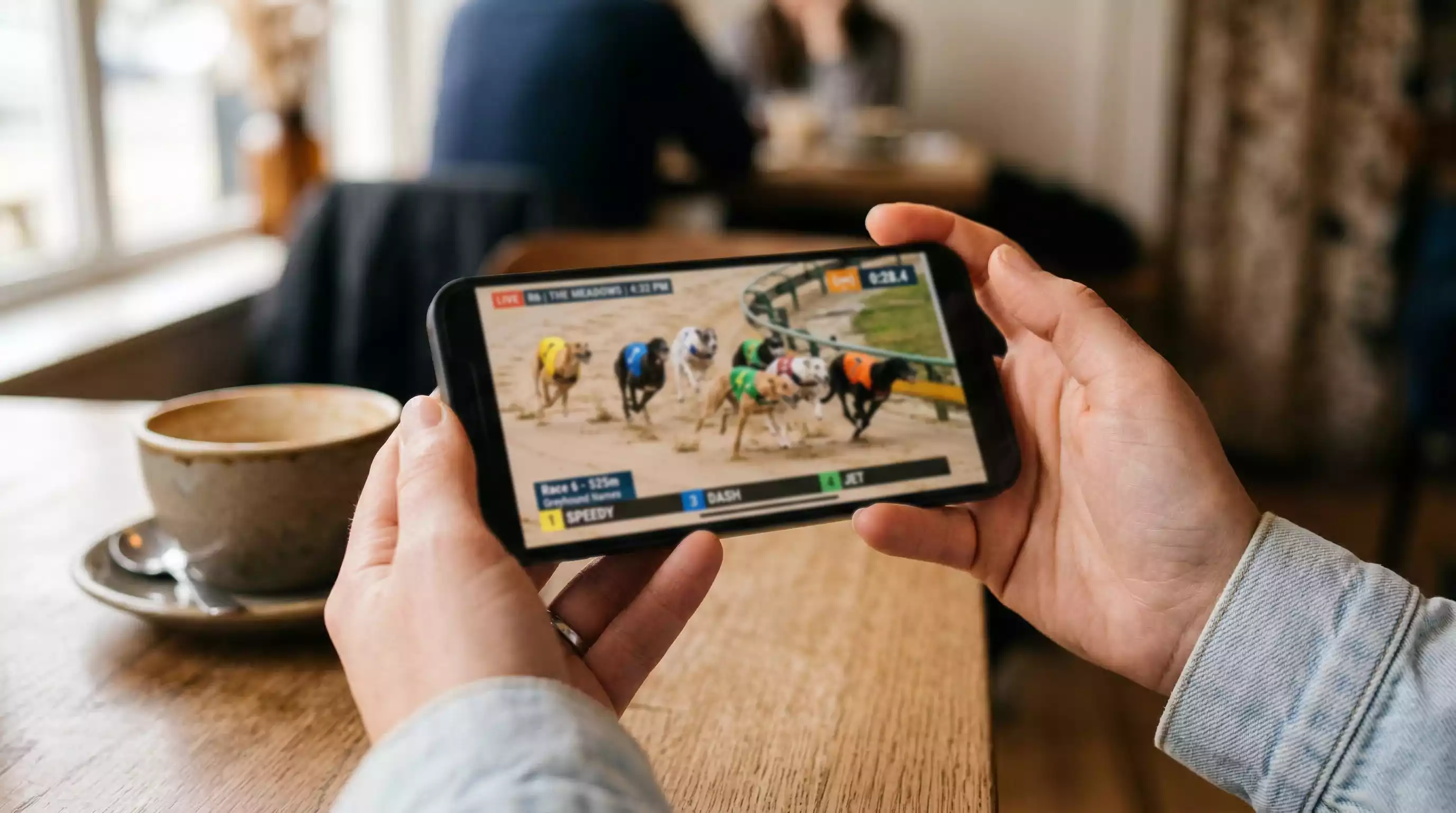 Person watching a greyhound racing live stream on a smartphone app with race card visible on screen